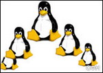 Linux-  .<br>                  ,        ,            ,  ,    .
