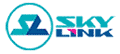 «Скай Линк — Москва»: начало коммерческой эксплуатации услуги «Публичный статический IP-адрес» 