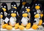 Microsoft впервые шагнула навстречу Linux<br>      .Корпорация Microsoft реализует поддержку Linux уже в конце этого года. В частности, ожидаемый набор исправлений для Virtual Server 2005 сможет работать с альтернативной Windows системой. Это решение беспрецедентно, поскольку Linux всегда воспринимался как основной конкурент ОС от Microsoft. 